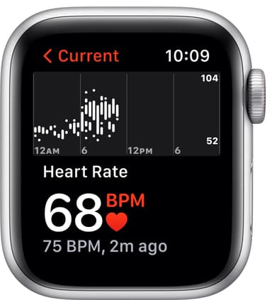 Apple Watch Nike SE 40mm GPS+4G LTE (silver alu/plat sportsrem)