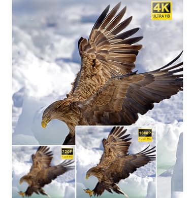 Videokamera 4K/48 megapixel/16x zoom/nattesyn/fjernbetjening
