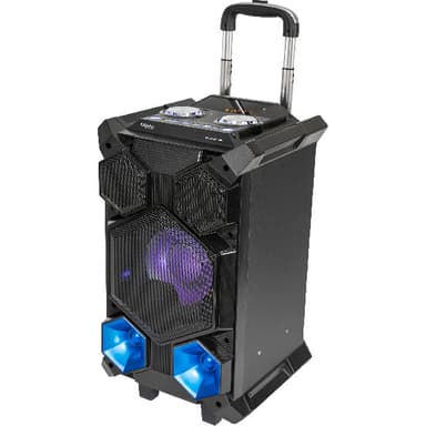 Ibiza Festivalhøjttaler, 350W
