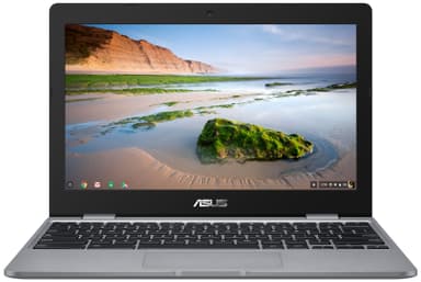 Asus Chromebook C223NA 11,6" bærbar computer (grå)
