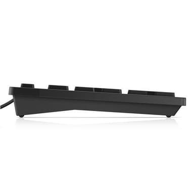 Dell KB216 Standard, kablet, tastaturlayout russisk, sort, russisk, numerisk tastatur, 503 g