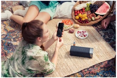 Philips S5505 trådløs og transportabel højttaler