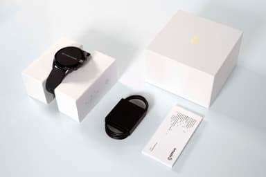 Amazfit GTR 3 Pro smartwatch (brunt)