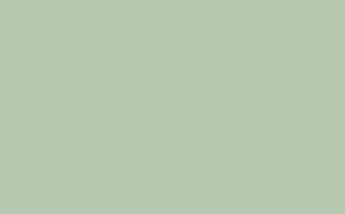 Cricut Premium Vinyl Permanent (bright sage)