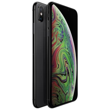 iPhone Xs Max 256 GB (space grey)