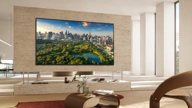 LG 55" QNED 81 4K QNED TV (2023)