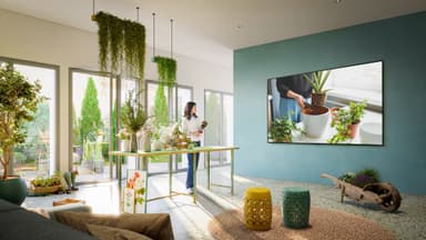 LG 55" QNED 81 4K QNED TV (2023)