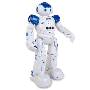 Fjernstyret robot ""Cady"" R2