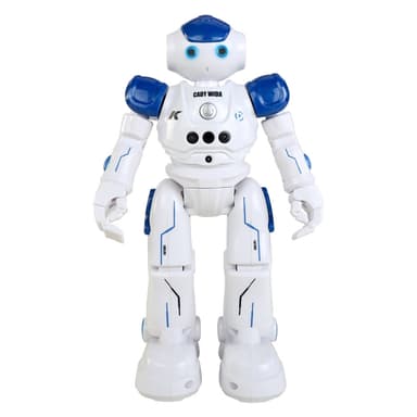 Fjernstyret robot ""Cady"" R2