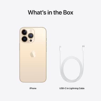 iPhone 13 Pro – 5G smartphone 1TB Gold