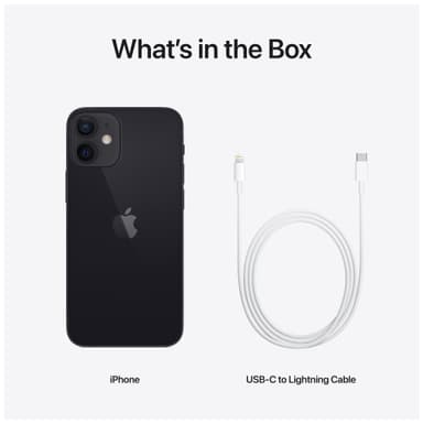 iPhone 12 mini - 5G smartphone 256 GB (sort)