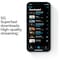 iPhone 12 Pro Max - 5G smartphone 256GB (pacific blue)