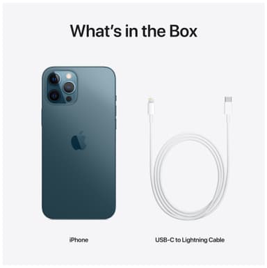 iPhone 12 Pro Max - 5G smartphone 256GB (pacific blue)