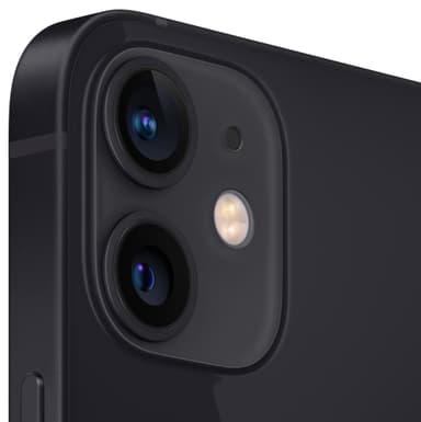 iPhone 12 mini - 5G smartphone 256 GB (sort)