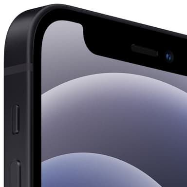 iPhone 12 mini - 5G smartphone 256 GB (sort)