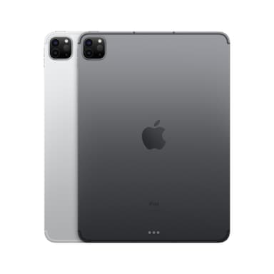 iPad Pro 11" 2021 256 GB WiFi + Cellular (space gray)