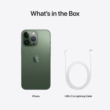 iPhone 13 Pro – 5G smartphone 1TB (alpine green)