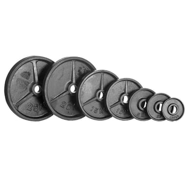 Nordic Fighter NF Vægtskive Jern 50 mm 15 kg