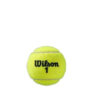 Wilson