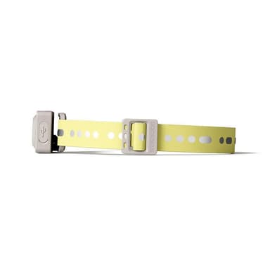 Bookman Monocle Headlamp