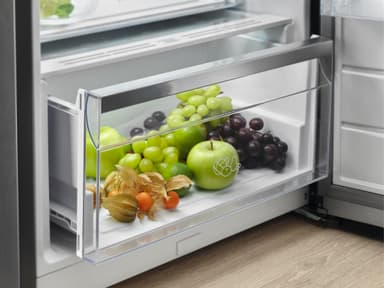 Electrolux Køleskab LRT5ME38W2 (Hvid)