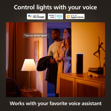 Philips Hue WCA Slim stor indbygget LED-lampe (sort)