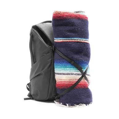 Peak Design Everyday rygsæk V2 20L (sort)