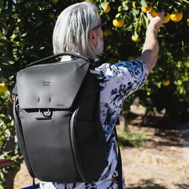 Peak Design Everyday rygsæk V2 20L (sort)