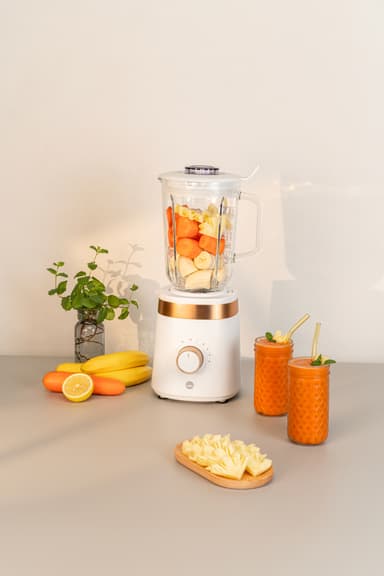 Wilfa blender BLW-1000 (hvid)