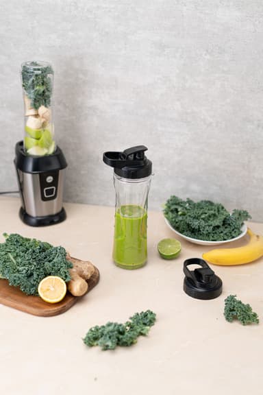 Wilfa blender Blend 2GO BL-5002GO (rustfrit stål)