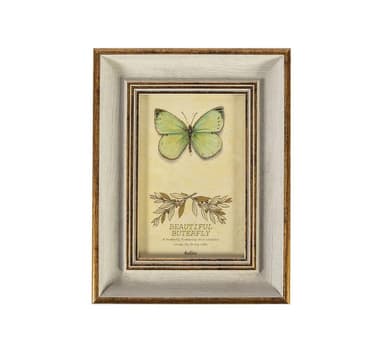 Fotoramme DRAGON FLY, til 10x15cm, antik hvid
