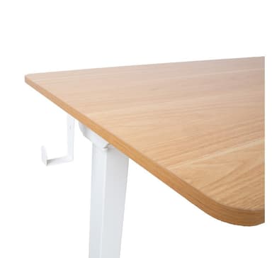 Skrivebord ERGO med 1 motor 120x60xH73-121cm, hvid/eg