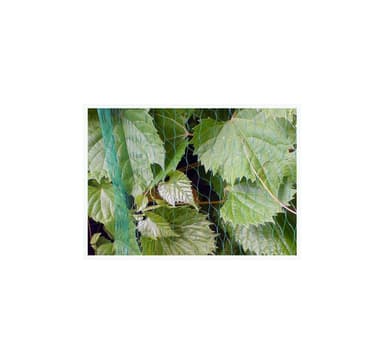 FUGLENET 7g/m2 19x19mm 8x8m