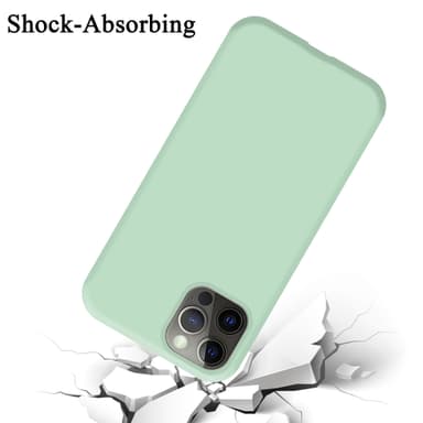 iPhone 13 MINI Cover Etui Case (Grøn)