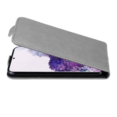 Samsung Galaxy S20 Pungetui Flip Cover (Grå)