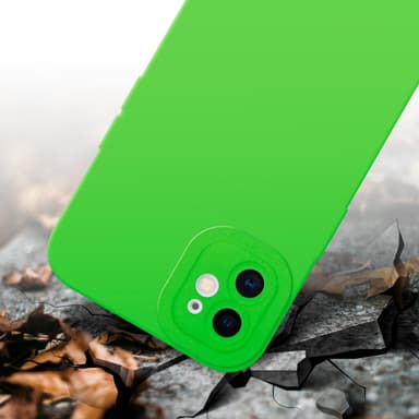 iPhone 12 Cover Etui Case (Grøn)