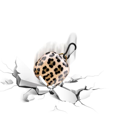 Samsung Galaxy Buds PRO / LIVE / Buds 2 Pungetui Cover