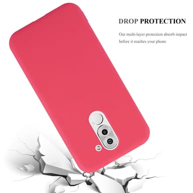 Cover Huawei MATE 9 LITE / GR5 2017 / Honor 6X Etui