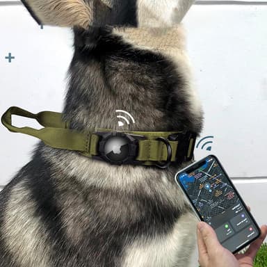 AirTag Hundehalsbånd - Justerbart Hundehalsbånd i Nylon med AirTag-holder Grøn S