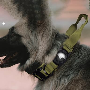 AirTag Hundehalsbånd - Justerbart Hundehalsbånd i Nylon med AirTag-holder Grøn S