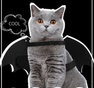 Halloween kostume Batman til hund/kat (størrelse L)