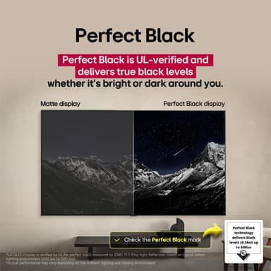 LG 48" C5 Pro 4K OLED evo TV (2025)