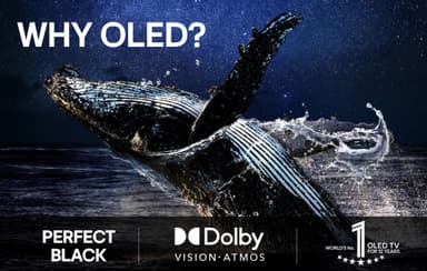 LG 97" G5 4K OLED evo TV (2025)