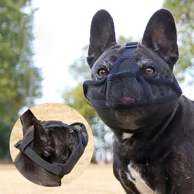 Blå Kort Snude Hundekurv - Komfortabel og Åndbar M
