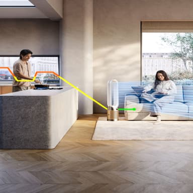 Dyson Cool PC2 De-NOx luftrenser 546519-01 (hvid/sølv)