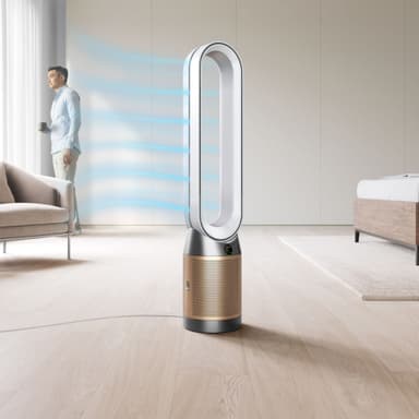 Dyson Cool PC2 De-NOx luftrenser 546519-01 (hvid/sølv)