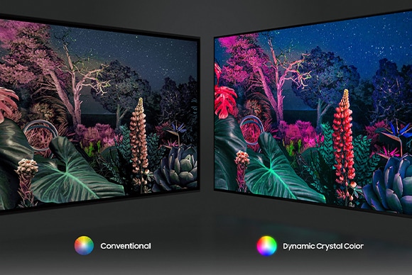 Samsung-TV-AU8005-Screens with colorful plants