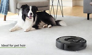 iRobot Roomba i7+ og en hund