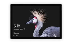 en tablet et baggrundsbillede af en eksotisk fugl