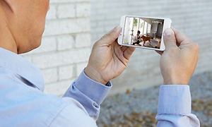 mand ser overvågningsvideo på sin smartphone - på video kan man se en person med en en hund